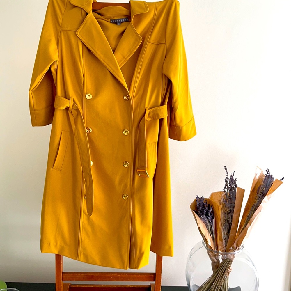 Sharagano short sleeve double breasted belt dress